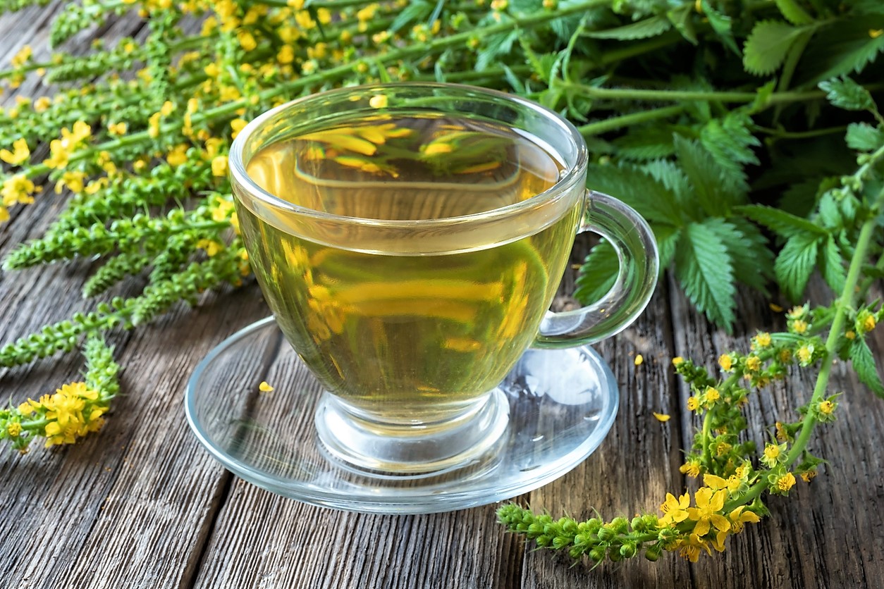 Řepík je starodávná královská bylina s ohromnou léčivou silou. Zkuste čaj,  koupel, tinkturu nebo mast | Prima Living